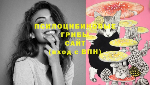 jwh Алзамай