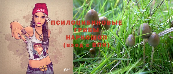 jwh Алзамай