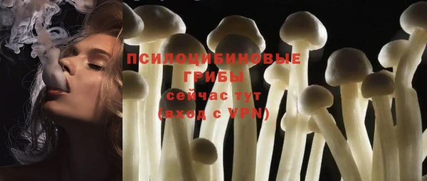 амф Алексеевка