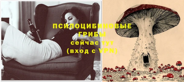 амф Алексеевка