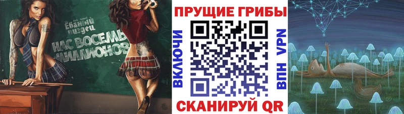 ссылка на мегу зеркало  Воткинск  Псилоцибиновые грибы мицелий  цена  